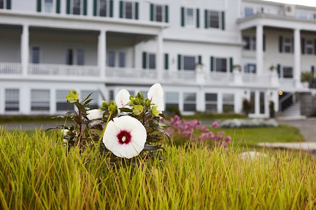 Gardens at the inn