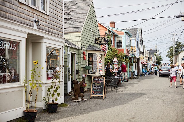 Bearskin neck